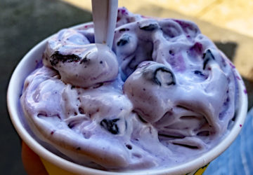 Ted Drewes - Blueberry Concrete