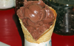 Timothy's - Dutch Chocolate Ice Cream