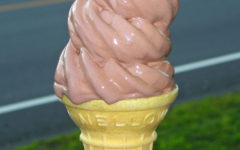 Ridgefield Ice Cream Shop - Chocolate Soft Serve