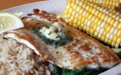 Whitefish fillet with corn and rice