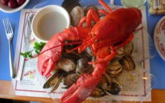 One big, bright red, ready-to-eat lobster perches atop a pile of steamer clams on a paper placemat.