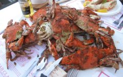 Crab Claw - Spiced Steamed Crab Feast