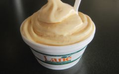 Lane Southern Orchards - Peach Ice Cream