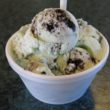 Styrofoam cup holds pale green mint ice cream streaked with pieces of Oreo cookie.
