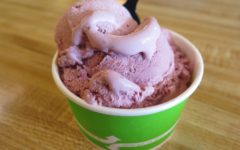 Young’s Jersey Dairy - Ice Cream