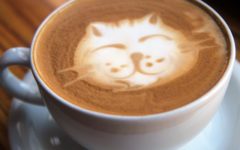 Cup of rich, creamed espresso with a cat-head design on top, made of cream
