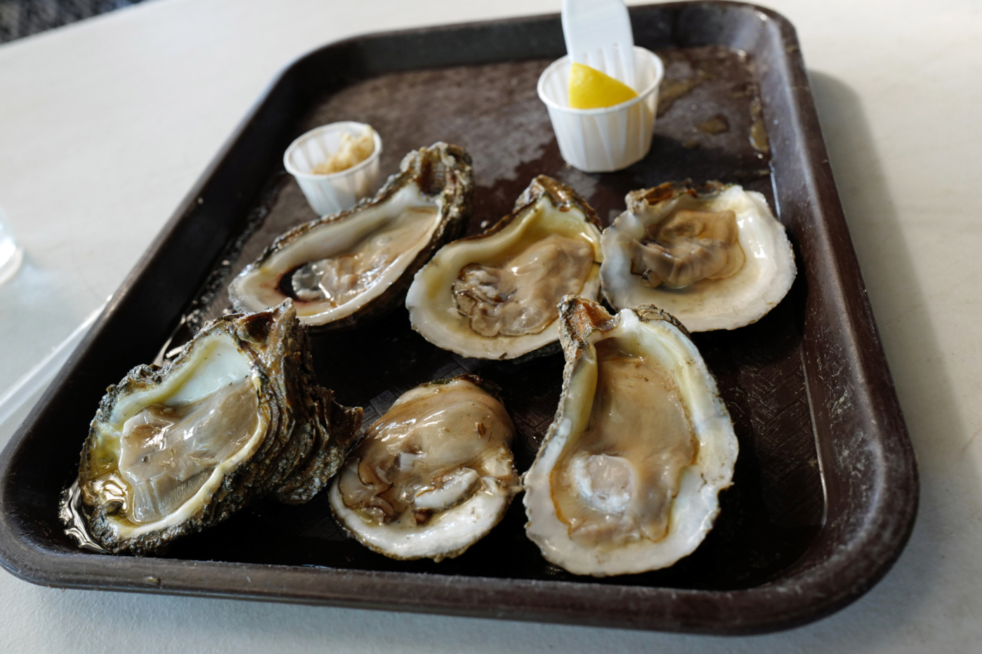Capitol Oyster Bar | Roadfood