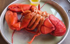 One whole lobster with a cup of butter for dipping ... Maine shoreline best