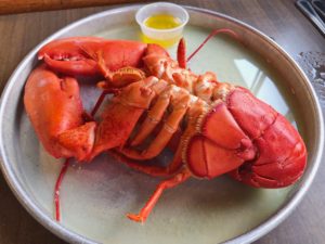 One whole lobster with a cup of butter for dipping ... Maine shoreline best