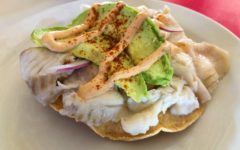 Crisp-fried tortilla holds flakes of red snapper and avocado slices