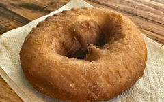 Simple, unfrosted, unsprinkled cake donut, suitable for dunking
