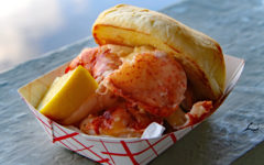 Lobster roll on a round bun