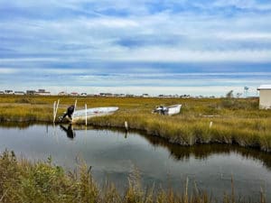 Scene of marshland and boats ... crabbing is a way of life